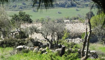 Chiaramonte Gulfi (RG), 97010, ,Old masseria,For Sale,1004