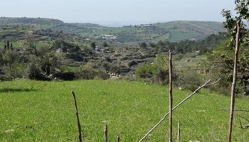 Chiaramonte Gulfi (RG), 97010, ,Old masseria,For Sale,1004