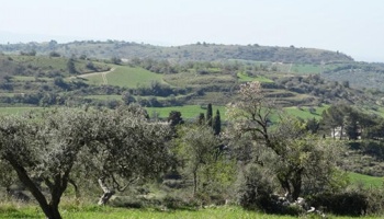 Chiaramonte Gulfi (RG), 97010, ,Old masseria,For Sale,1004