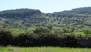 Chiaramonte Gulfi (RG), 97010, ,Old masseria,For Sale,1004