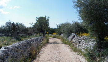 Ispica (RG), 97014, ,Old masseria,For Sale,1005