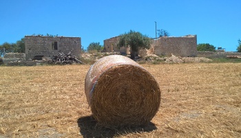 Scicli (RG), 97018, ,Ruin Land,For Sale,1006