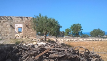 Scicli (RG), 97018, ,Ruin Land,For Sale,1006