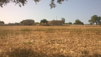 Scicli (RG), 97018, ,Ruin Land,For Sale,1006