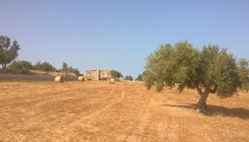 Scicli (RG), 97018, ,Ruin Land,For Sale,1006