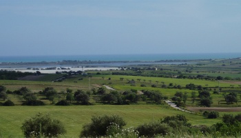 Noto (SR), 96017, ,Villas and Olive Grove,For Sale,1008