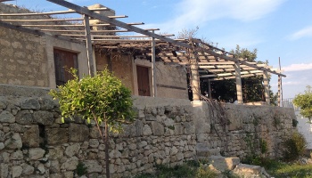 Noto (SR), 96017, ,Villas and Olive Grove,For Sale,1008