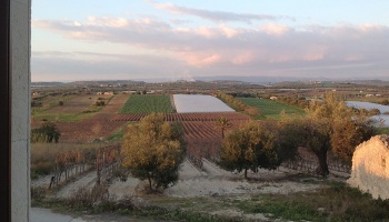Noto (SR), 96017, ,Villas and Olive Grove,For Sale,1008