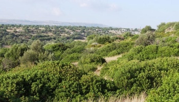 Scicli (RG), 96018, ,Ruin Land,For Sale,1012