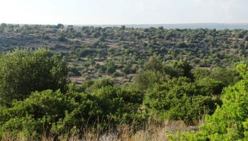 Scicli (RG), 96018, ,Ruin Land,For Sale,1012